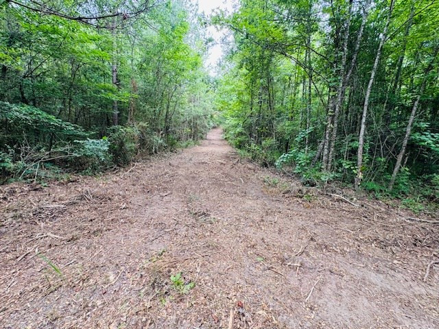 Tbd Carters Creek Road Property Photo 13