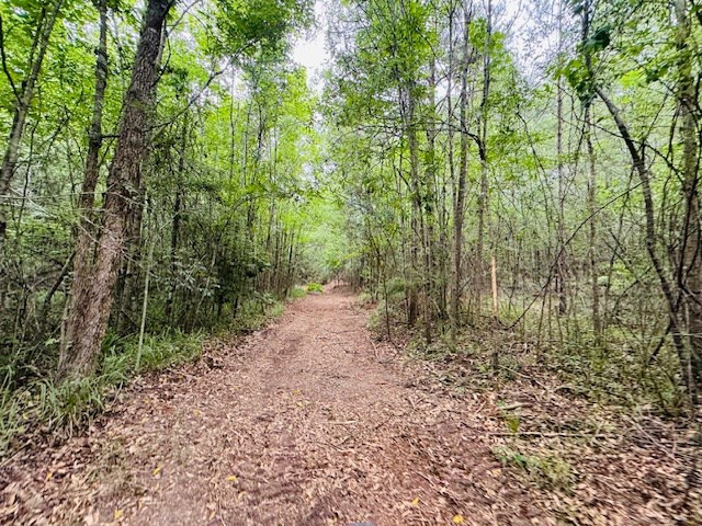 Tbd Carters Creek Road Property Photo 14