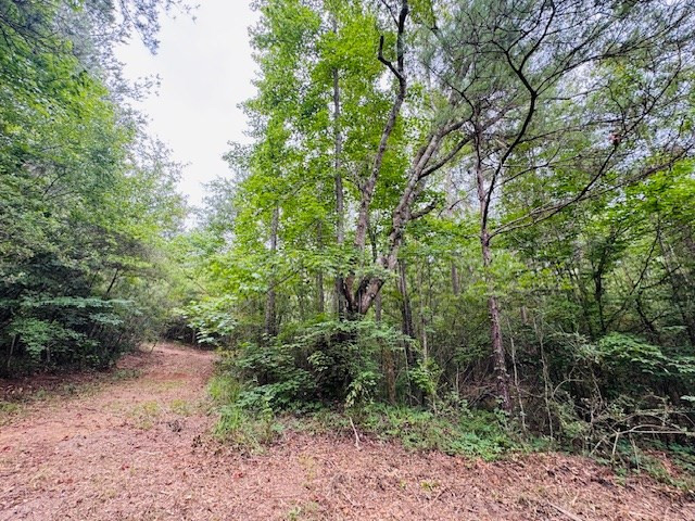 Tbd Carters Creek Road Property Photo 16