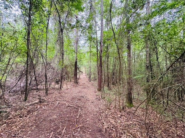 Tbd Carters Creek Road Property Photo 17