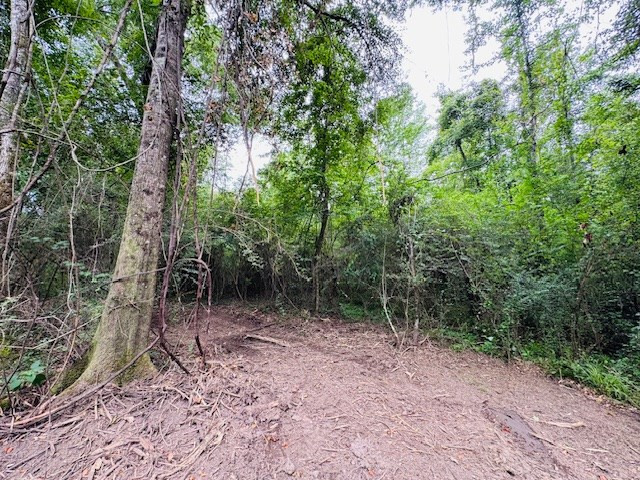 Tbd Carters Creek Road Property Photo 18