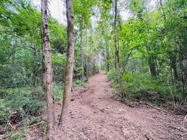 Tbd Carters Creek Road Property Photo 19