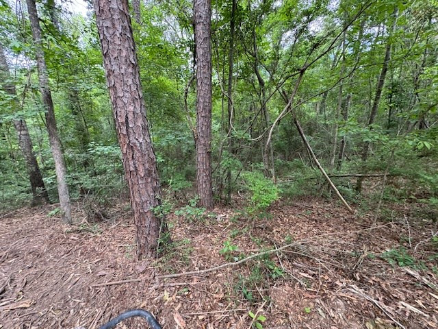 Tbd Carters Creek Road Property Photo 20