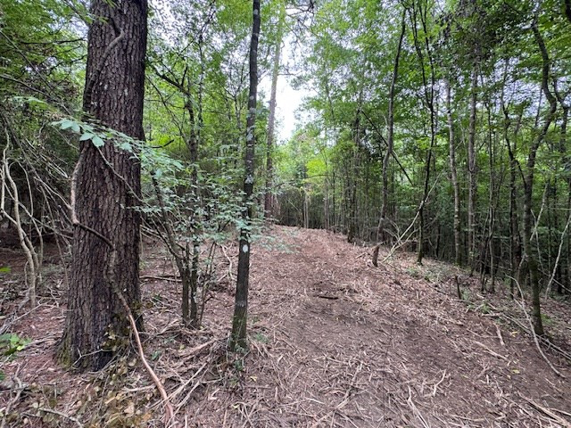 Tbd Carters Creek Road Property Photo 22