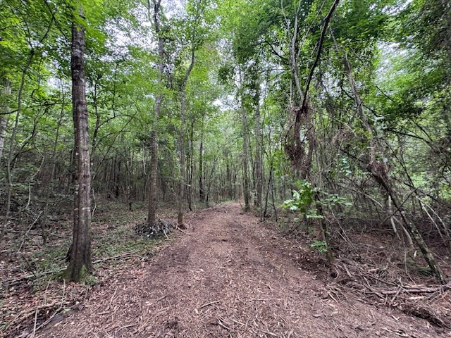 Tbd Carters Creek Road Property Photo 23