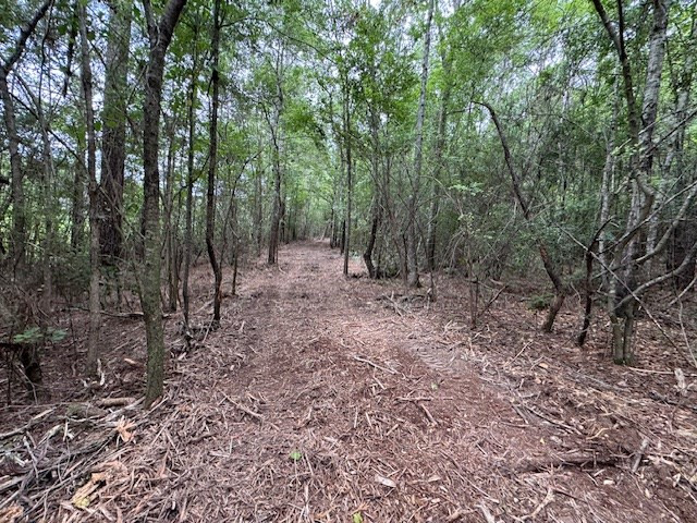 Tbd Carters Creek Road Property Photo 24