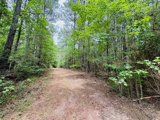 Tbd Carters Creek Road Property Photo 25