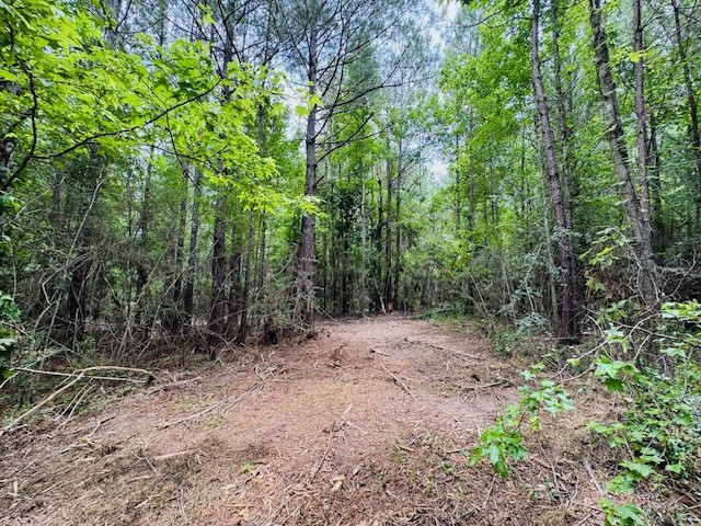 Tbd Carters Creek Road Property Photo 26