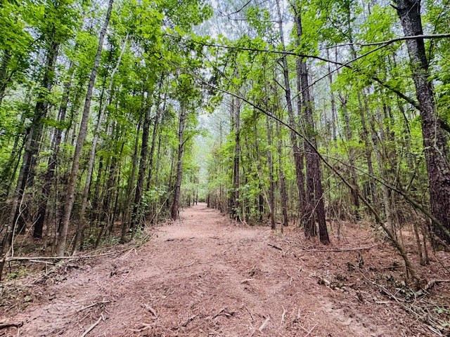 Tbd Carters Creek Road Property Photo 27