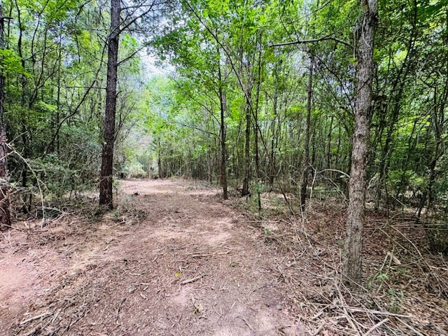 Tbd Carters Creek Road Property Photo 29