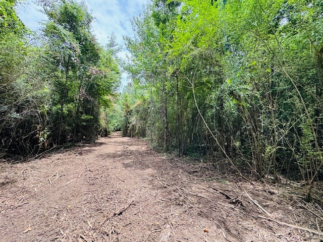 Tbd Carters Creek Road Property Photo 30