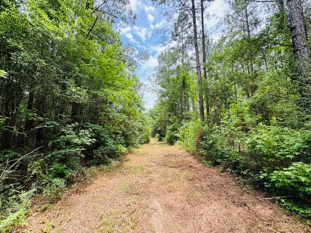 Tbd Carters Creek Road Property Photo 32