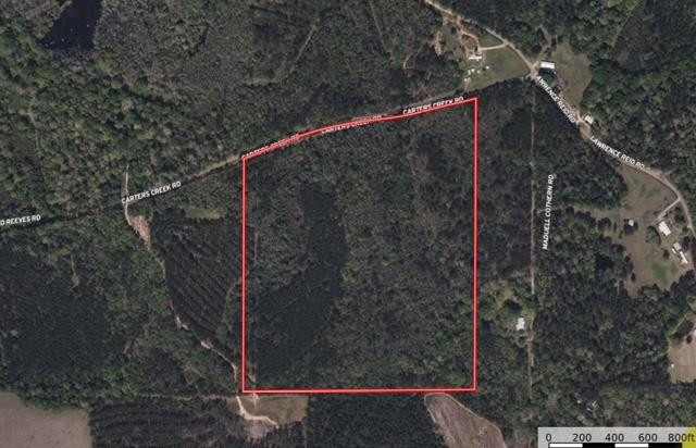 Tbd Carters Creek Road Property Photo 33