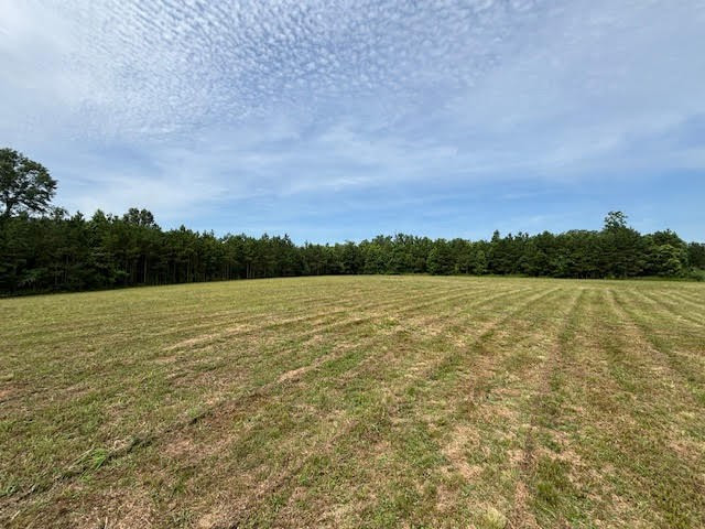 3092 Airport Fernwood Road Property Photo 12