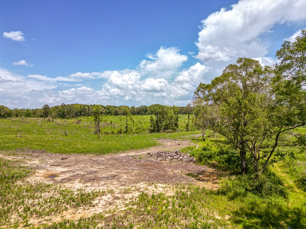 3320 Busy Corner Road Property Photo 2