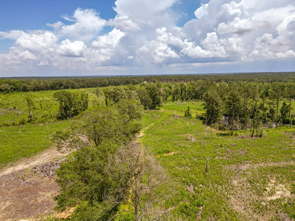 3320 Busy Corner Road Property Photo 3