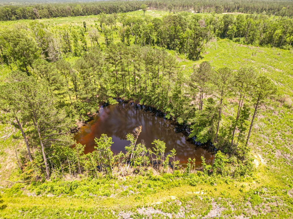 3320 Busy Corner Road Property Photo 4