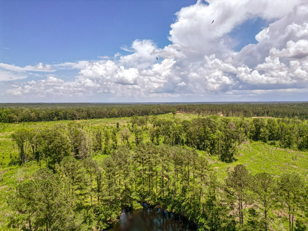 3320 Busy Corner Road Property Photo 5