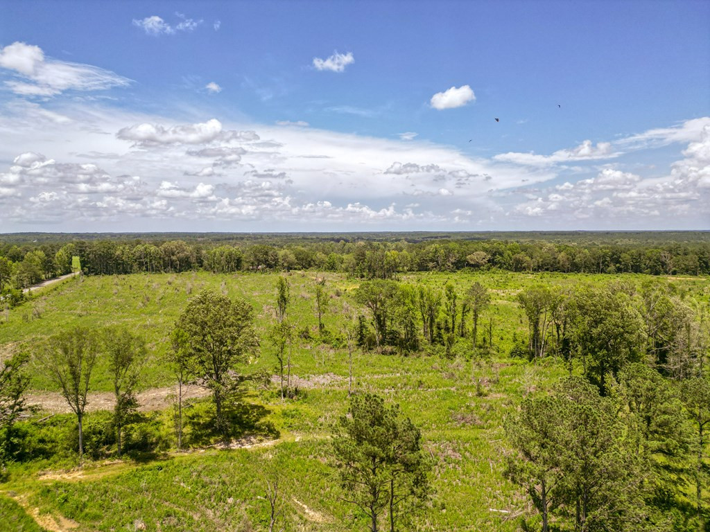 3320 Busy Corner Road Property Photo 6