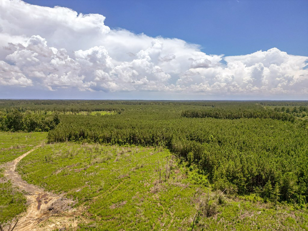 3320 Busy Corner Road Property Photo 7