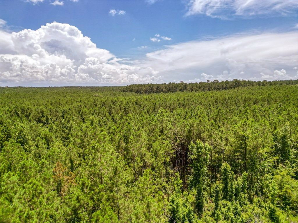 3320 Busy Corner Road Property Photo 9