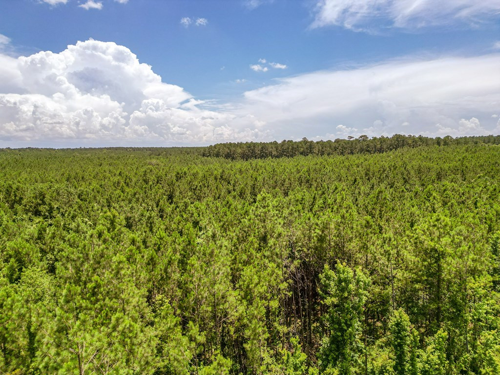 3320 Busy Corner Road Property Photo 10