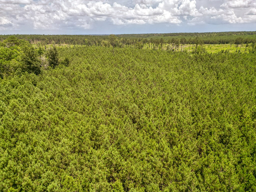 3320 Busy Corner Road Property Photo 11