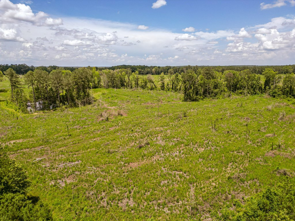 3320 Busy Corner Road Property Photo 12