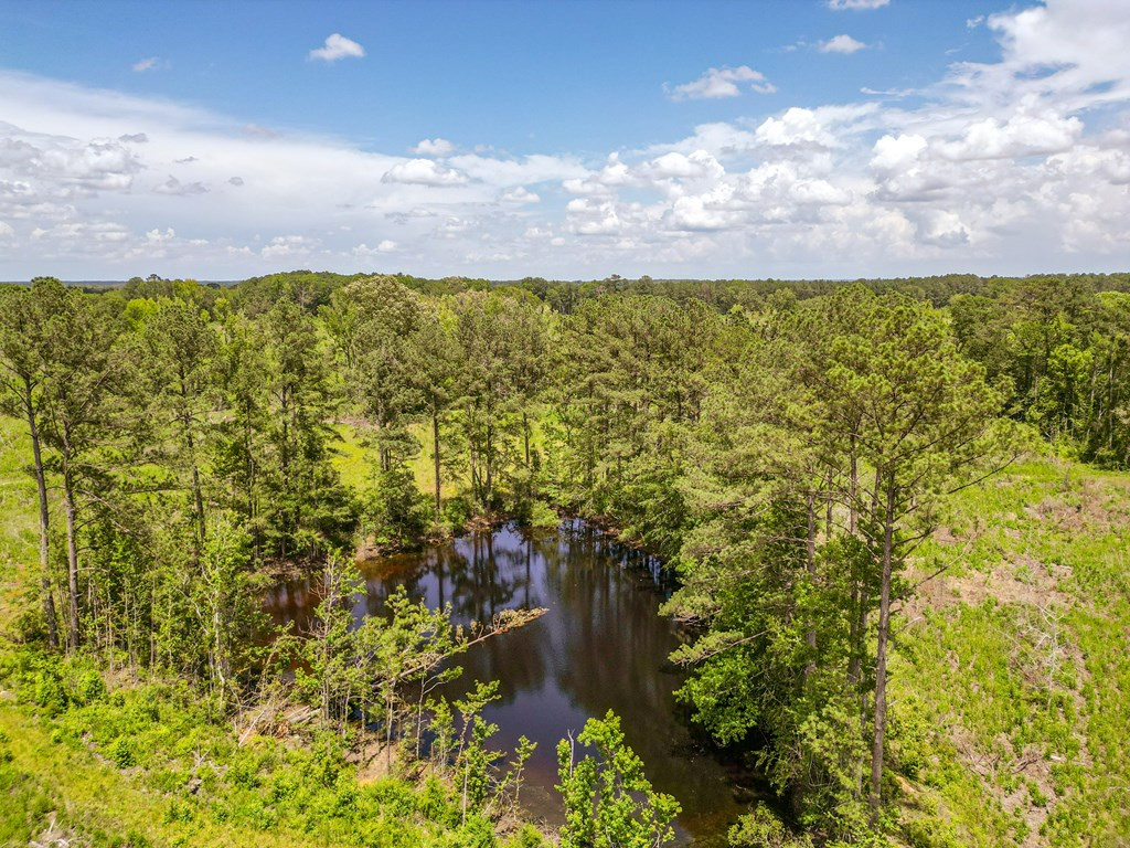 3320 Busy Corner Road Property Photo 14