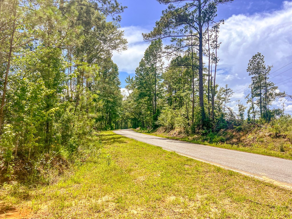 3320 Busy Corner Road Property Photo 15