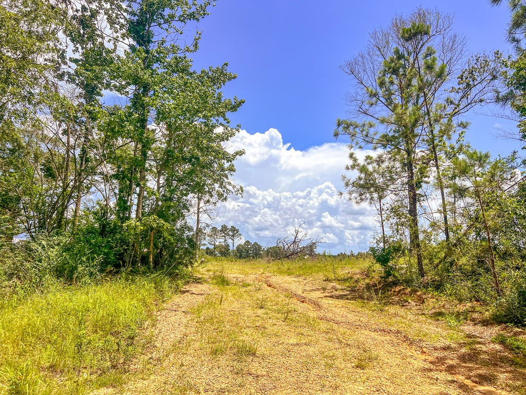 3320 Busy Corner Road Property Photo 17