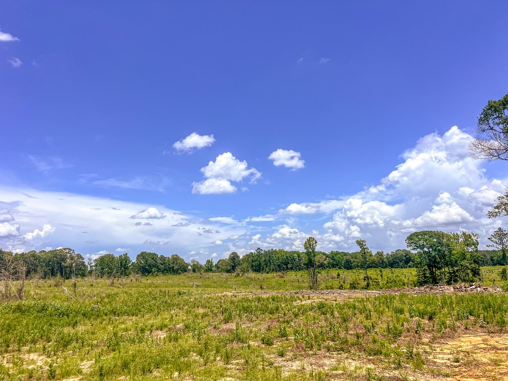 3320 Busy Corner Road Property Photo 18