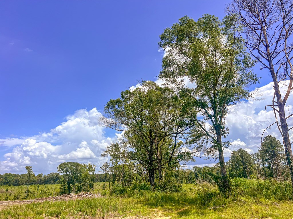 3320 Busy Corner Road Property Photo 19