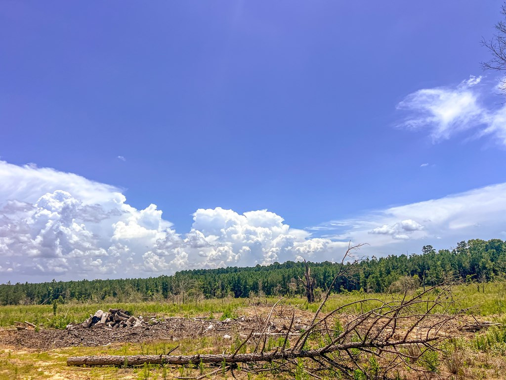 3320 Busy Corner Road Property Photo 20