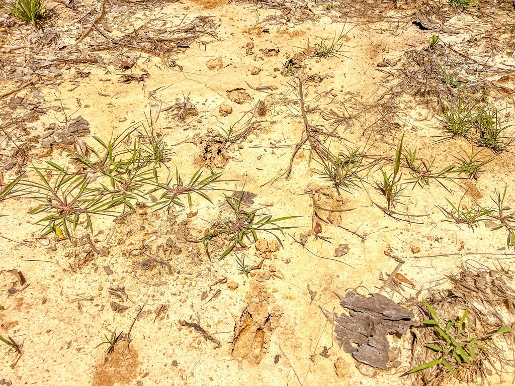 3320 Busy Corner Road Property Photo 21