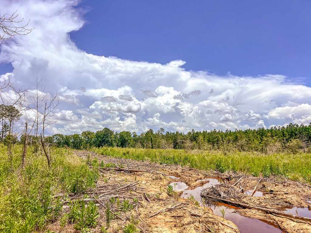 3320 Busy Corner Road Property Photo 22