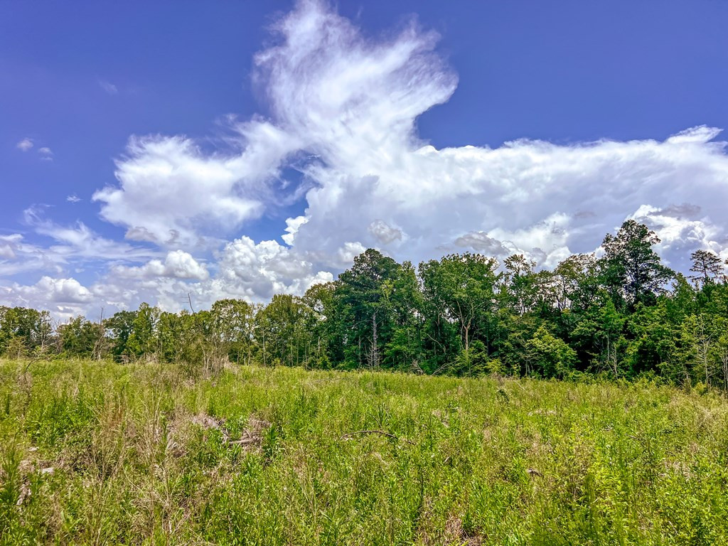 3320 Busy Corner Road Property Photo 23
