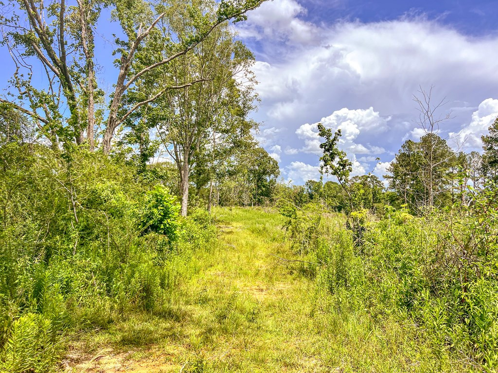 3320 Busy Corner Road Property Photo 24