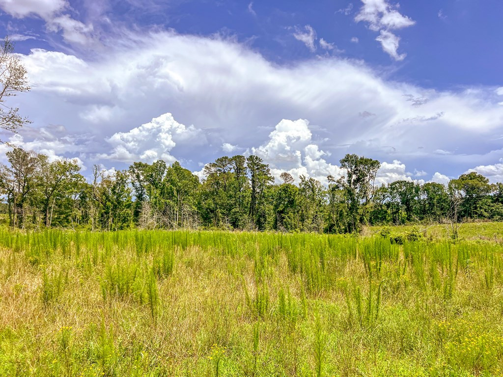 3320 Busy Corner Road Property Photo 25