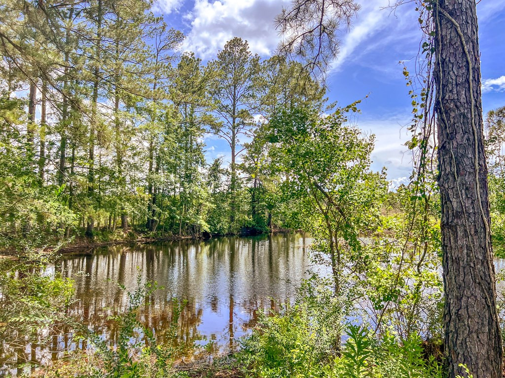 3320 Busy Corner Road Property Photo 26