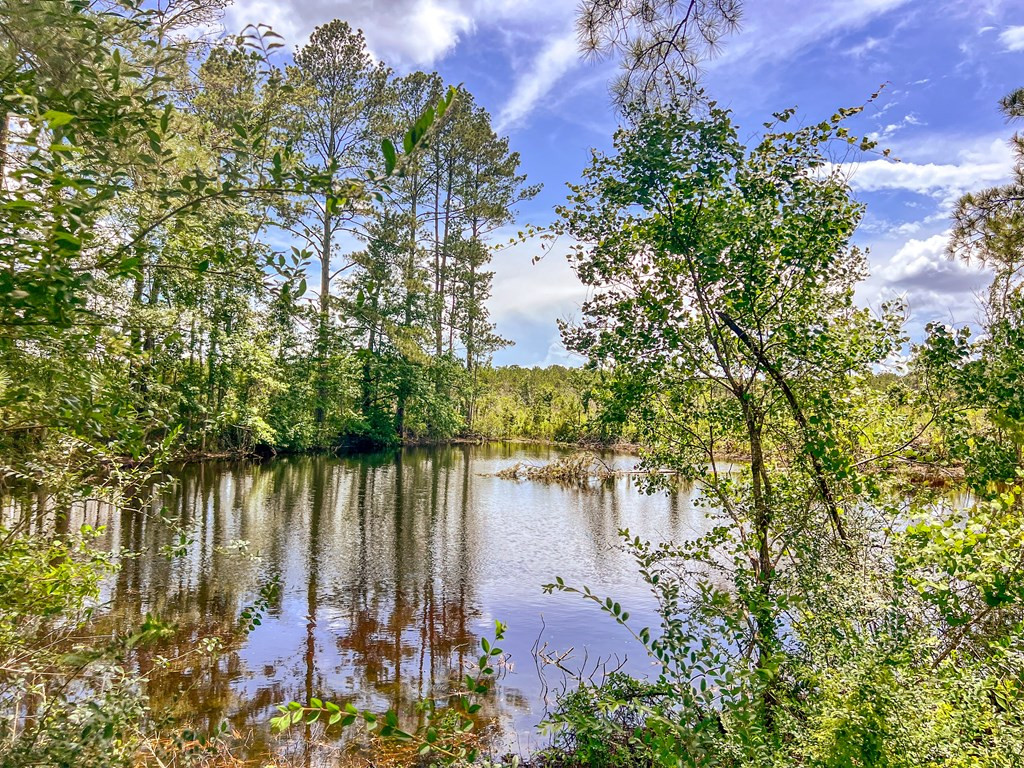 3320 Busy Corner Road Property Photo 27