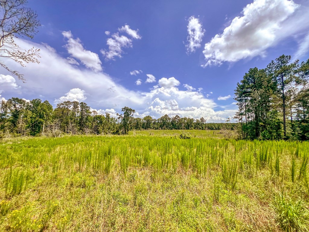 3320 Busy Corner Road Property Photo 28