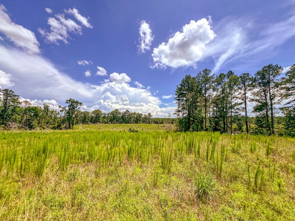 3320 Busy Corner Road Property Photo 29