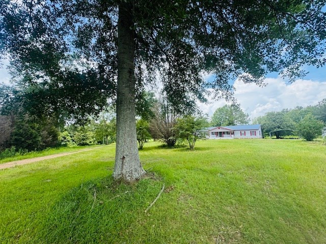 249 Brandon Bay Road Property Photo 12