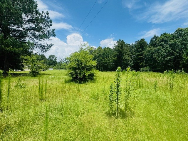 249 Brandon Bay Road Property Photo 18