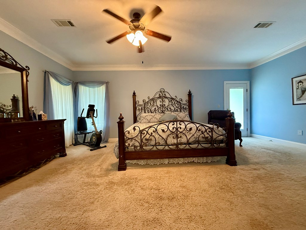 3100 Wallace Drive Property Photo 18