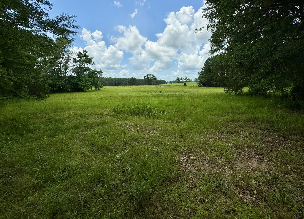 3100 Wallace Drive Property Photo 53