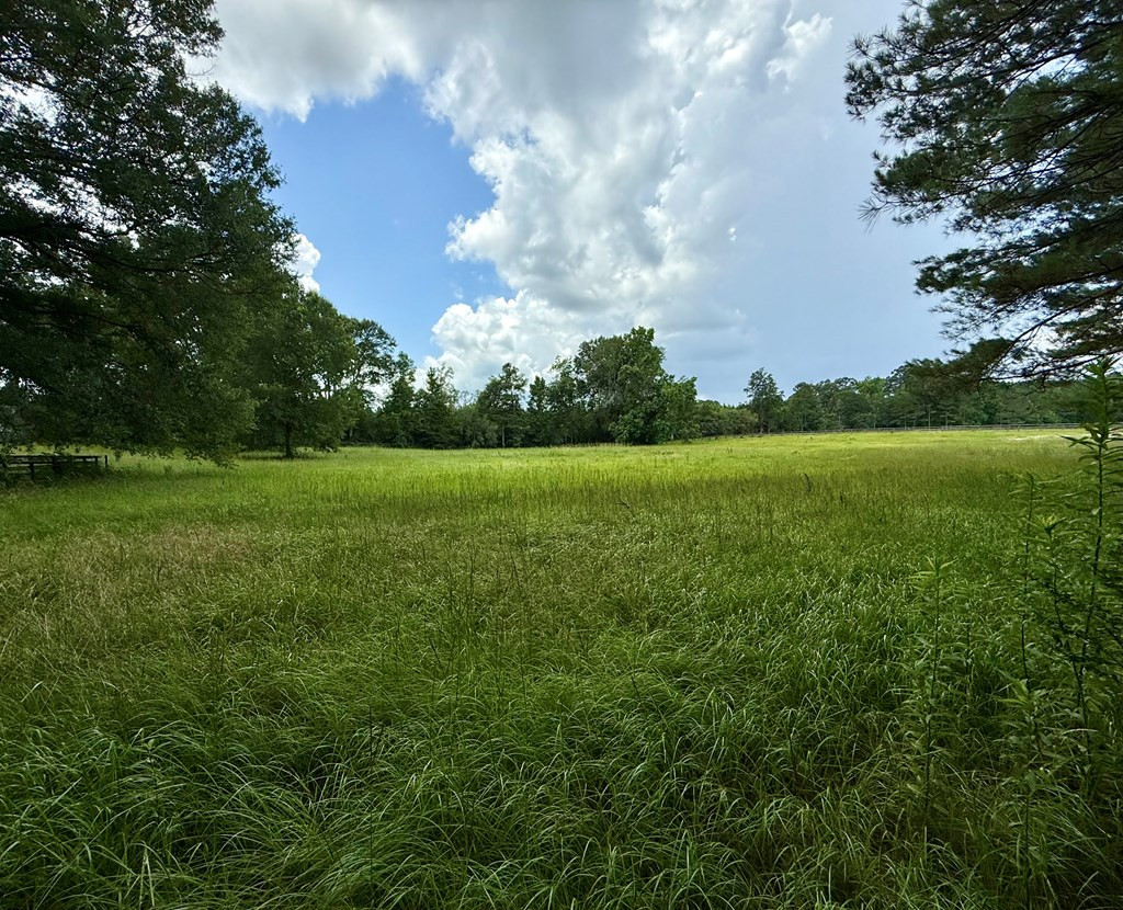 3100 Wallace Drive Property Photo 54