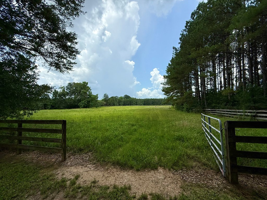 3100 Wallace Drive Property Photo 55
