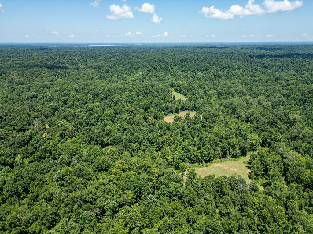 3169 Karnac Ferry Road Property Photo 2